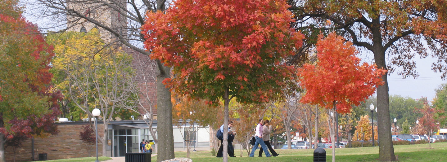 Fall colors on campus grounds near offices.