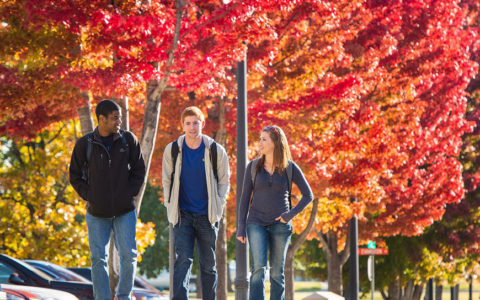 Autumn Colors with students
