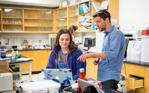 STEM bootcamp