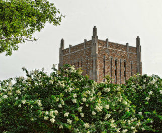 UTulsa library building with trees