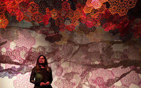 Sarah Ahmad’s Cosmic Veils