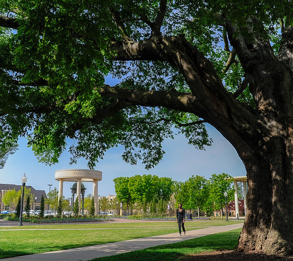 Photograph of Bayless Plaza in summer