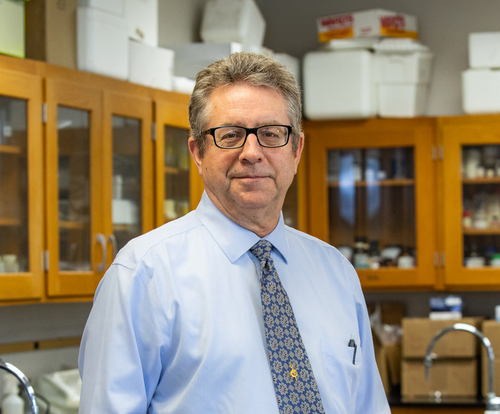 Photo of Mark Buchheim in classroom, black glasses.