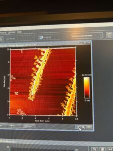 red and gold image of microscopic particles shown on a computer monitor