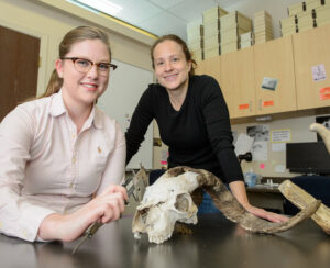 TU students working in an anthropology lab