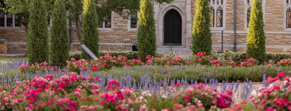 Campus beauty photo during summer
