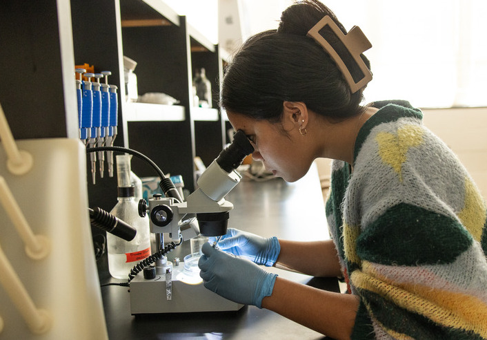 UTulsa NSF research: Student using a microscope in a science lab.