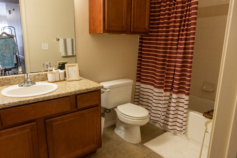 Mayo Village bathroom with vanity, toilet, and shower curtain.