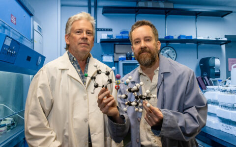 Two chemistry researchers hold molecular models related to brain cancer research