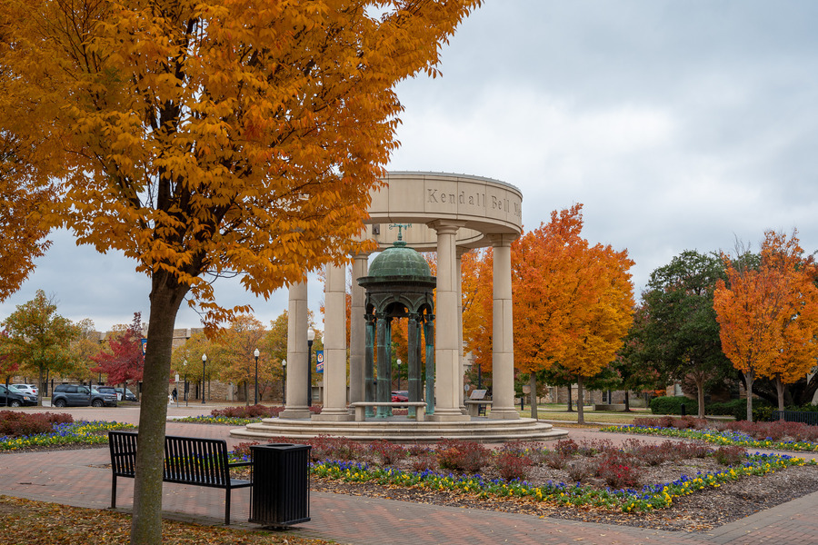 Kendall Bell in autumn