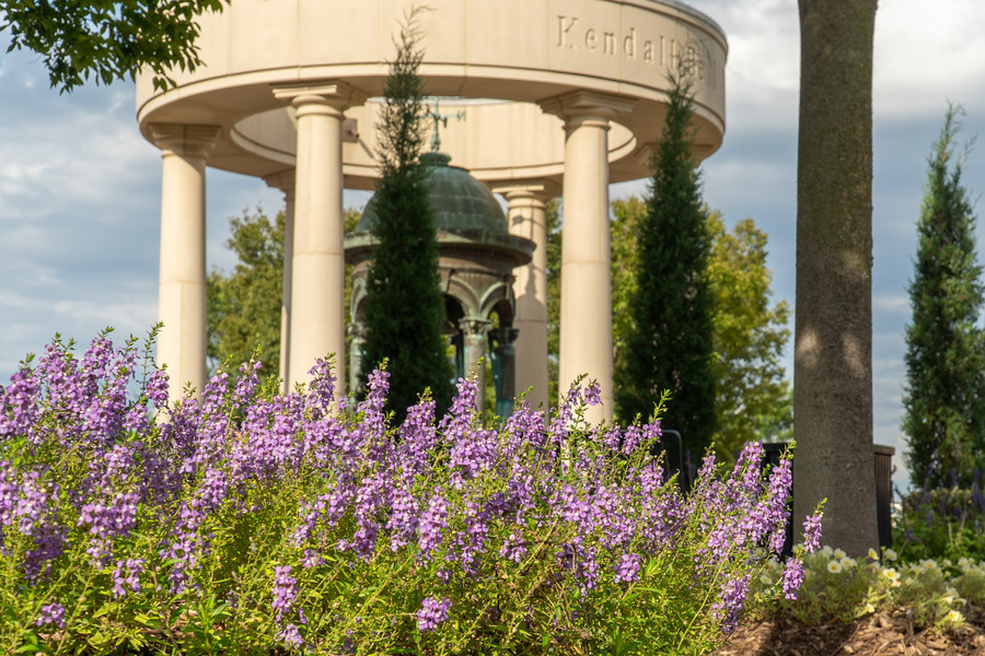 Kendall Bell with purple flowers in foreground
