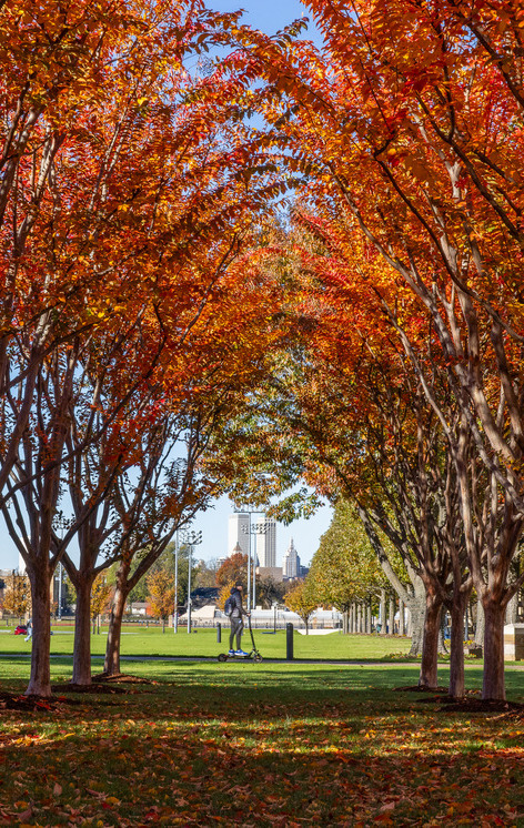 Autumn trees frame park with person on scooter