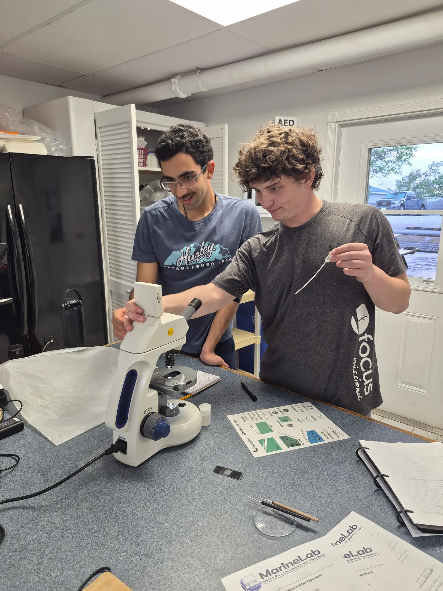 Students examine specimen under microscope