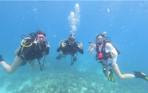 Three scuba divers underwater