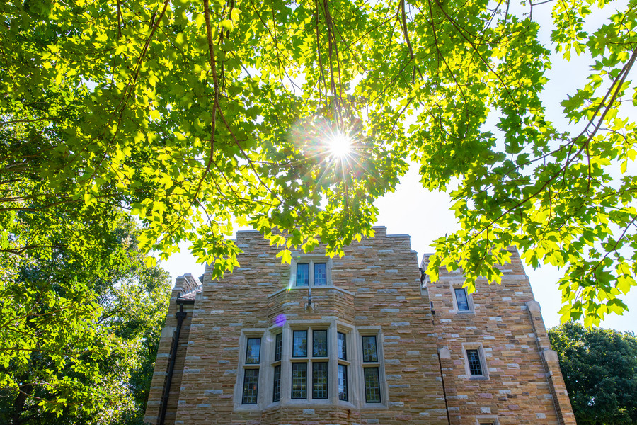 Stone building beneath sunlit green leaves