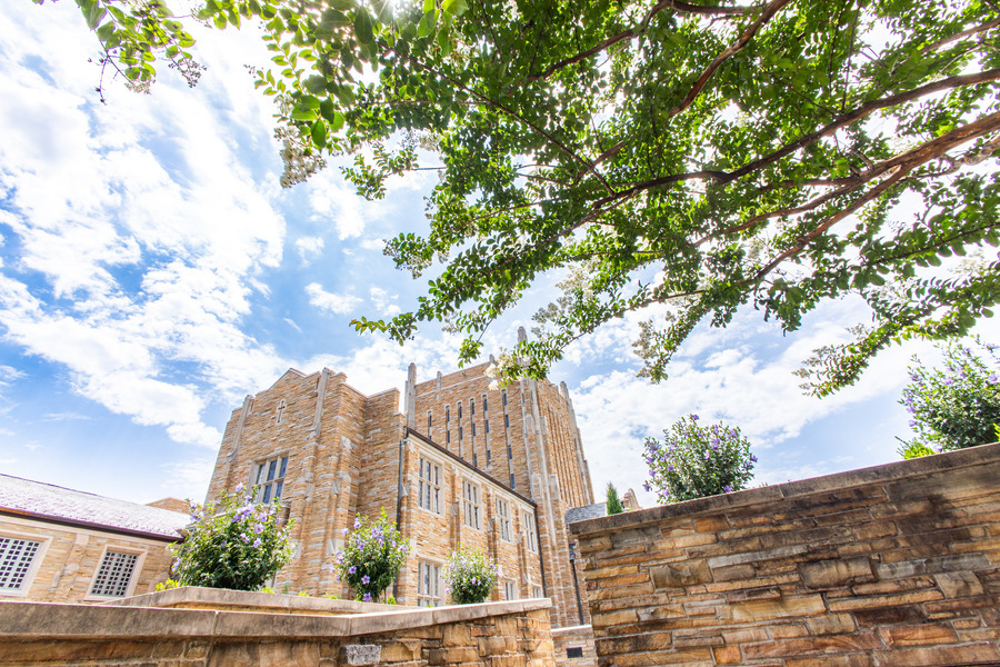 Stone campus building under trees