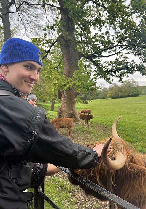 Joey DiPalma petting a Highland cow in Germany